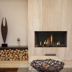 Cheminée foyers insert à gaz - Element 4 moderne Atre et Loisirs Savoie Isère 73 38